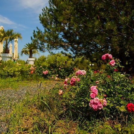 New Egreta Resort Dunavăţu de Jos المظهر الخارجي الصورة