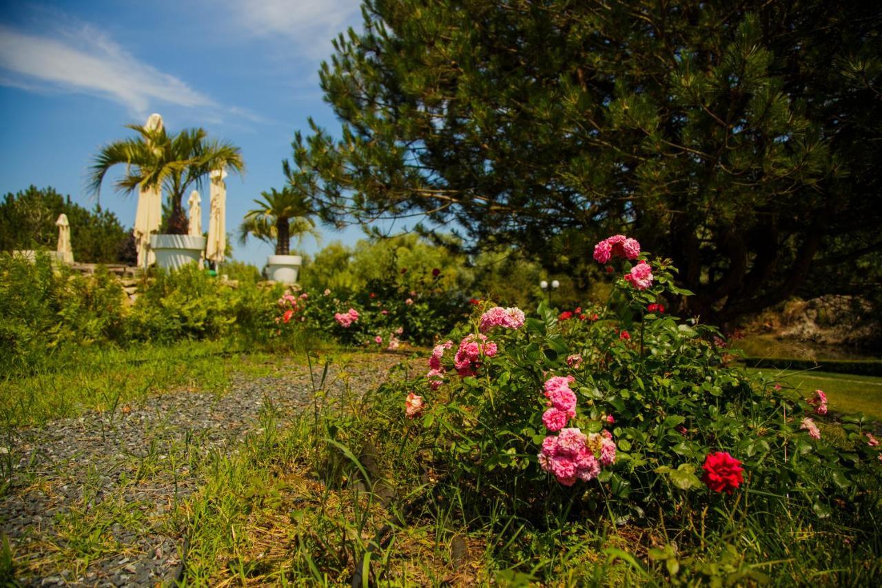 New Egreta Resort Dunavăţu de Jos المظهر الخارجي الصورة